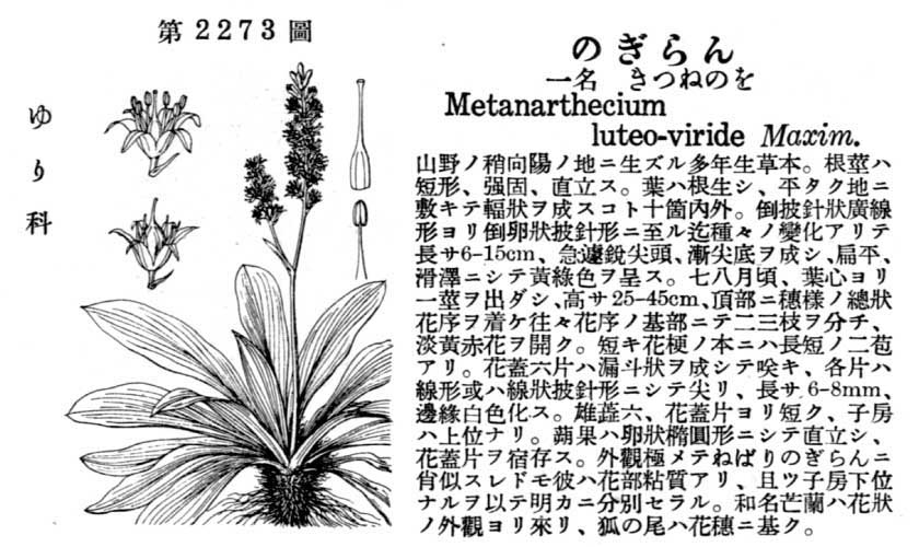 植物図鑑