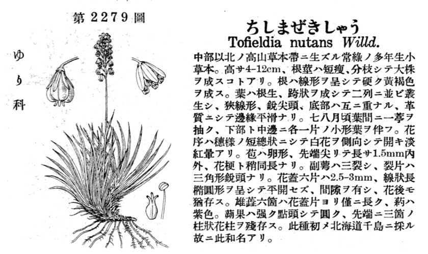 植物図鑑