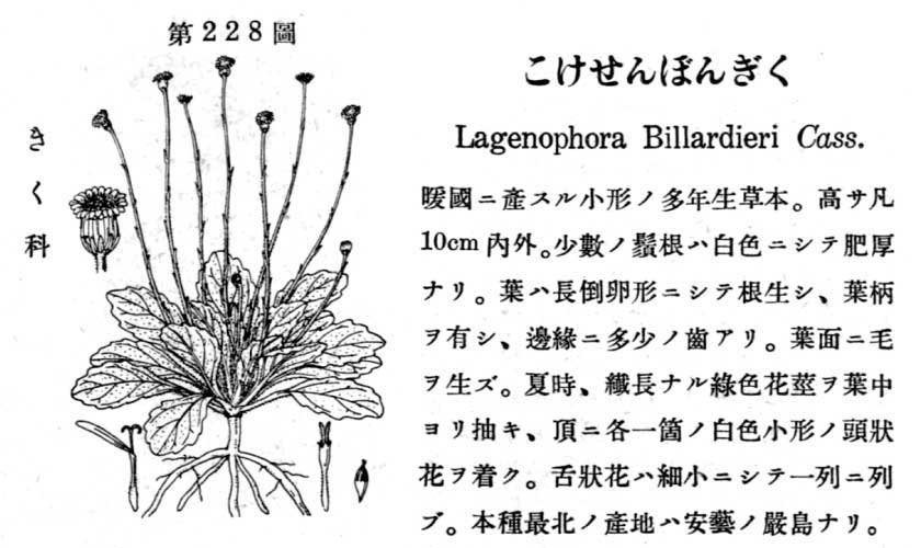 植物図鑑