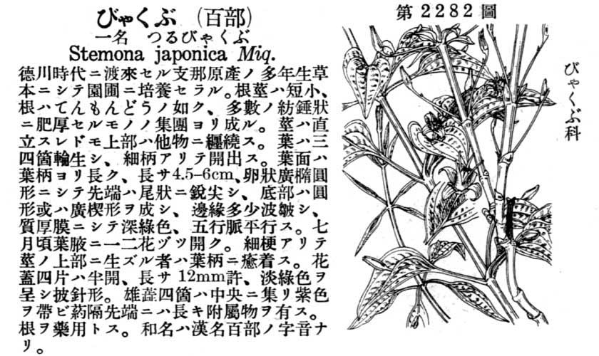 植物図鑑