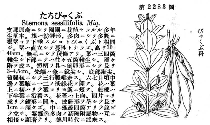 植物図鑑