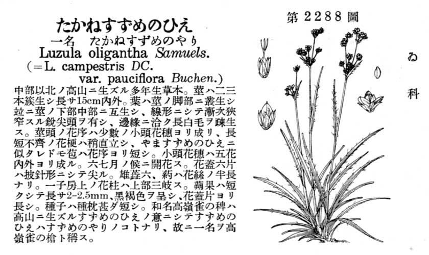 植物図鑑