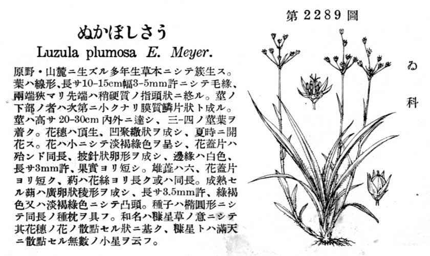 植物図鑑