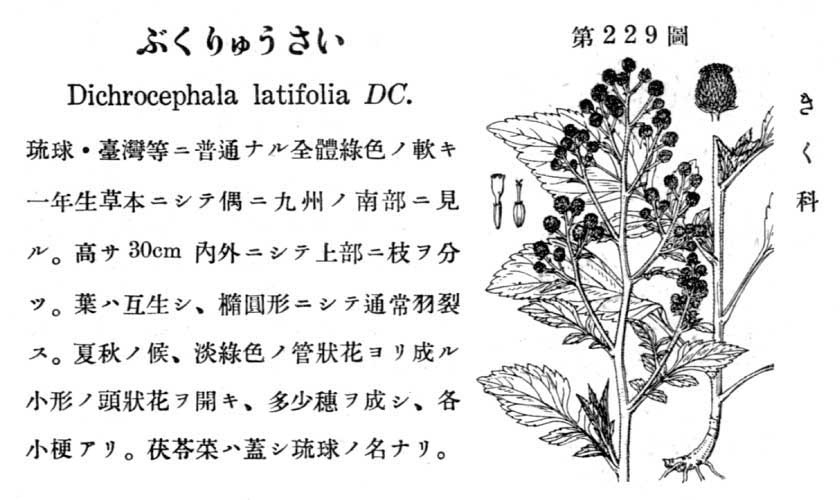 植物図鑑