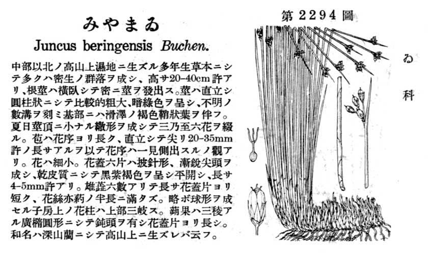 植物図鑑