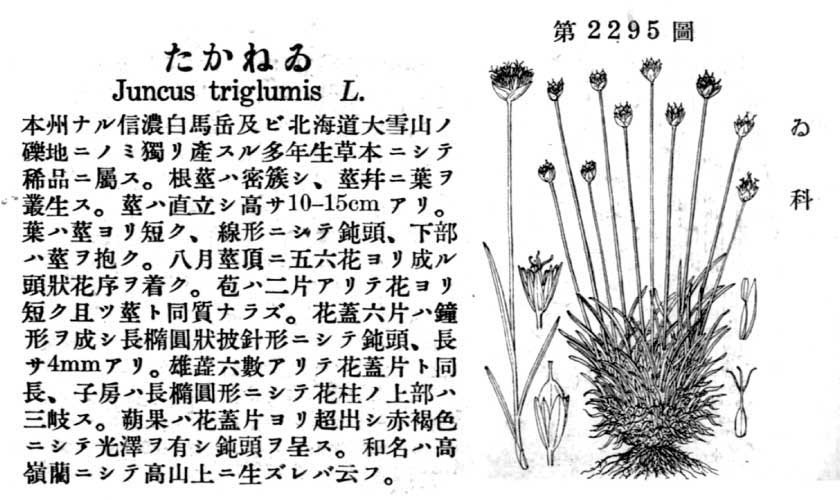 植物図鑑