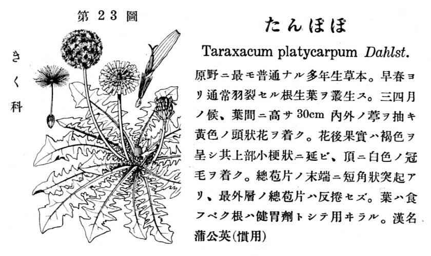 植物図鑑