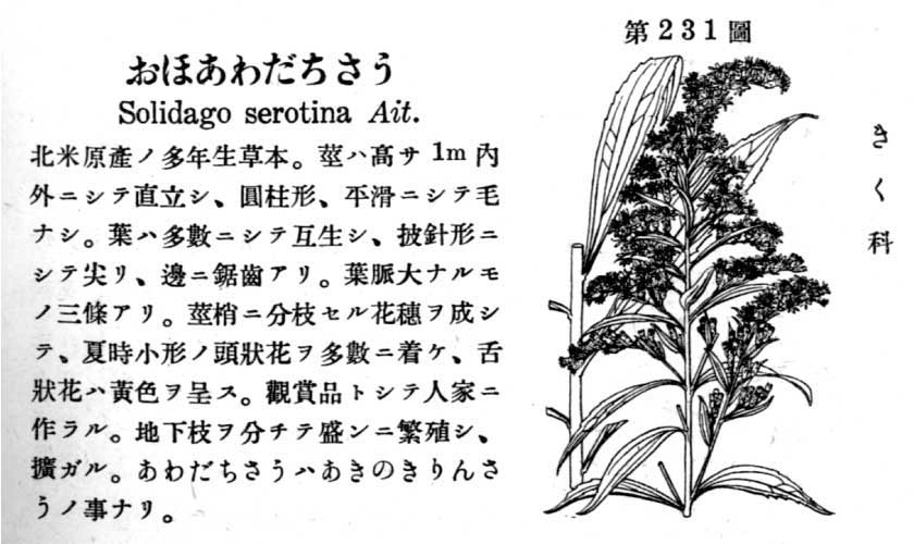 植物図鑑