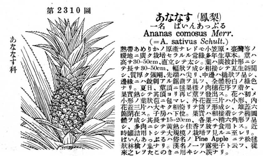 植物図鑑