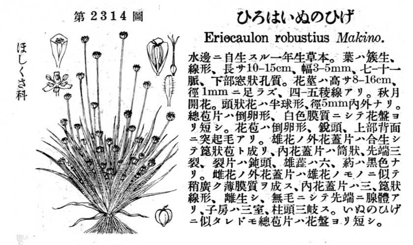 植物図鑑