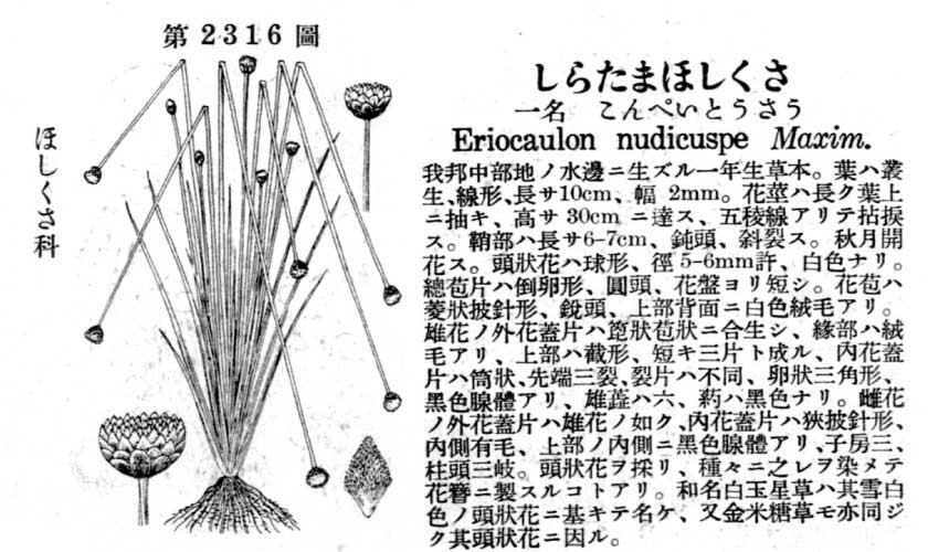 植物図鑑