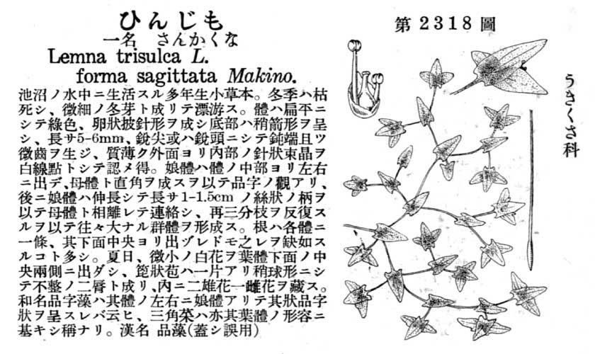 植物図鑑