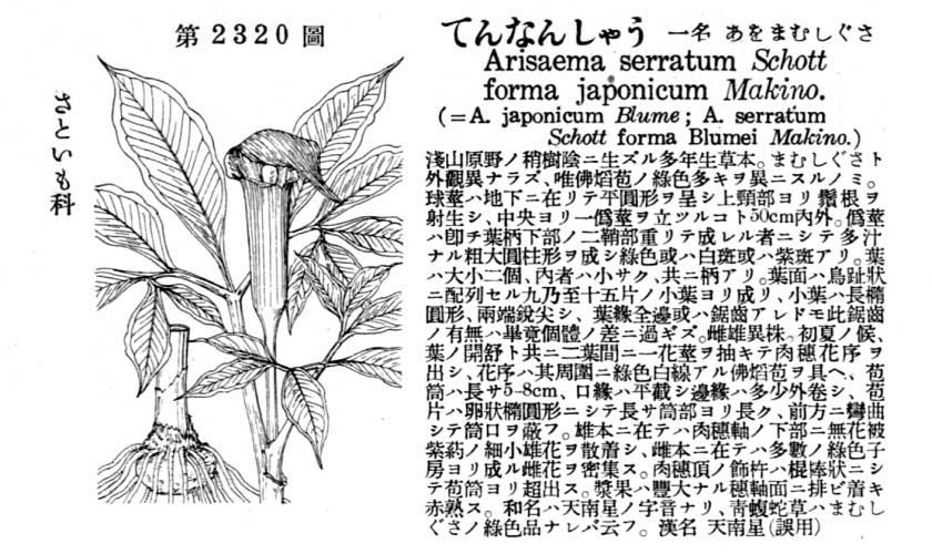 植物図鑑