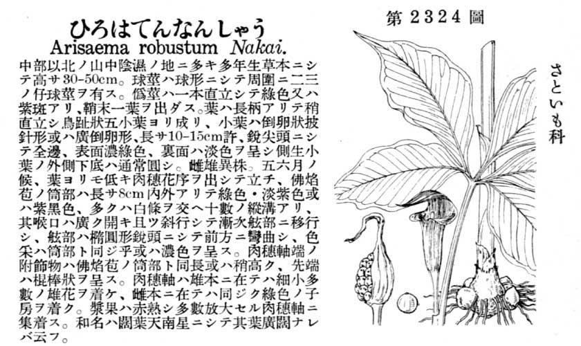 植物図鑑