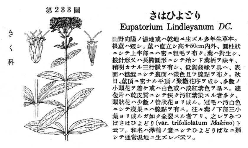 植物図鑑