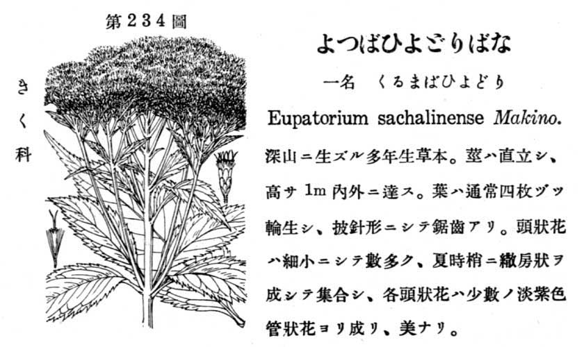 植物図鑑