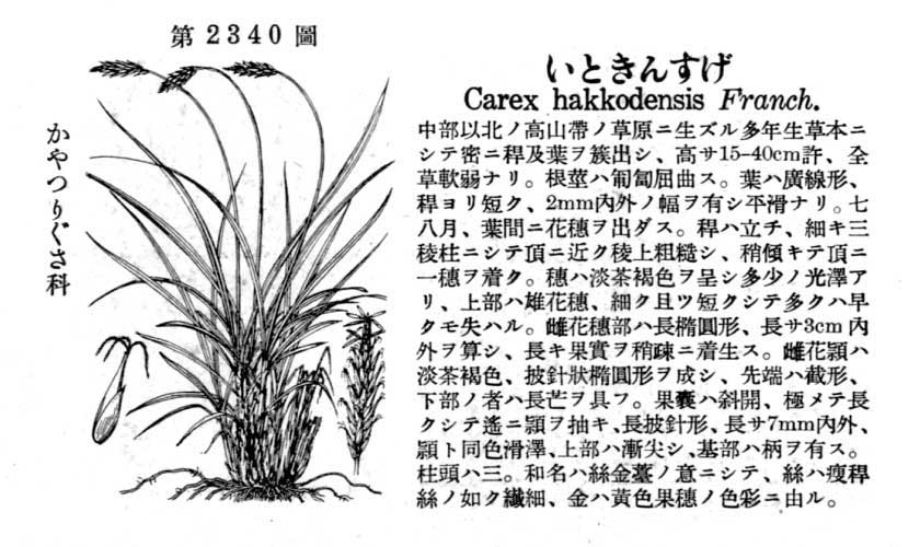 植物図鑑