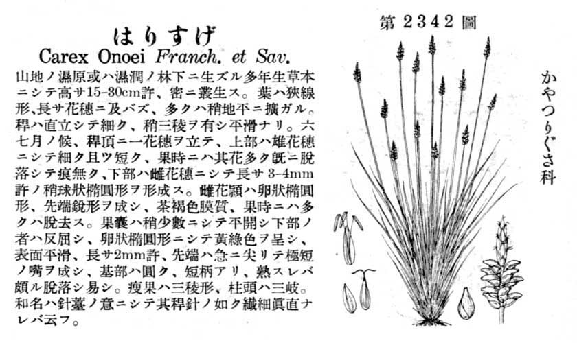 植物図鑑