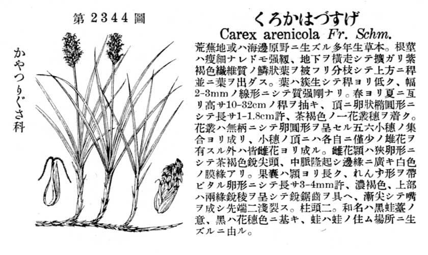 植物図鑑