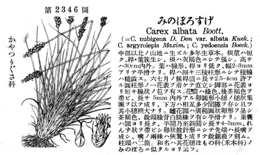 植物図鑑