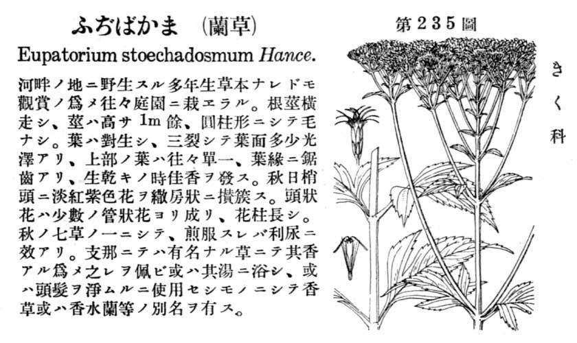 植物図鑑