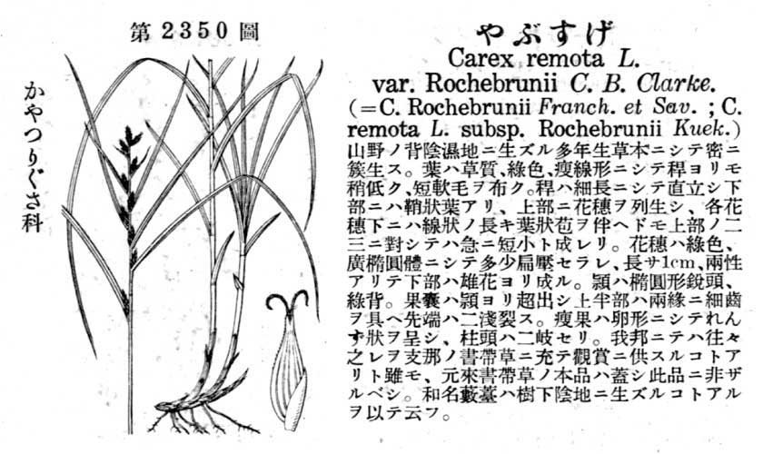 植物図鑑