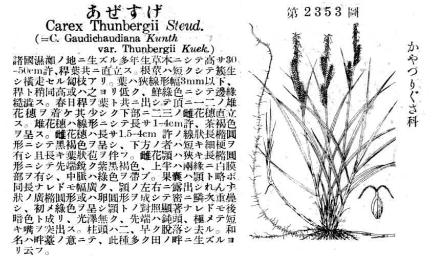 植物図鑑