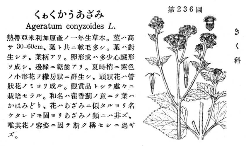 植物図鑑