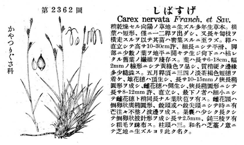 植物図鑑