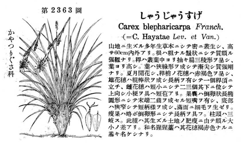 植物図鑑