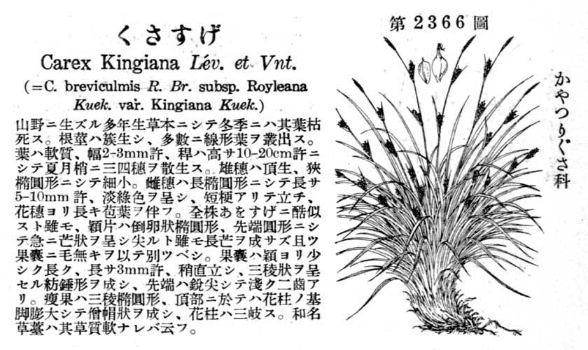 植物図鑑