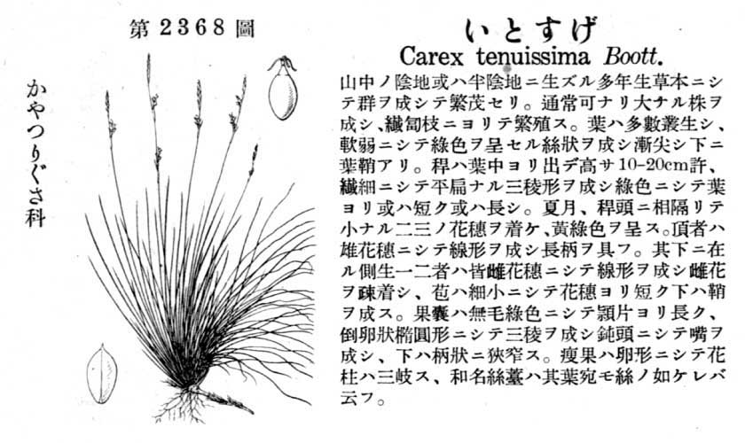 植物図鑑