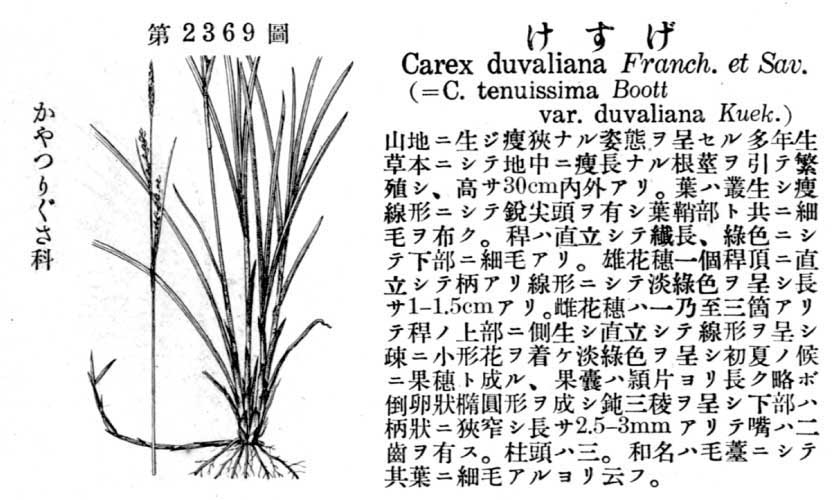 植物図鑑