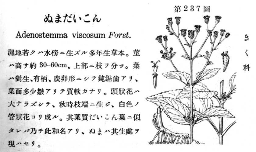植物図鑑