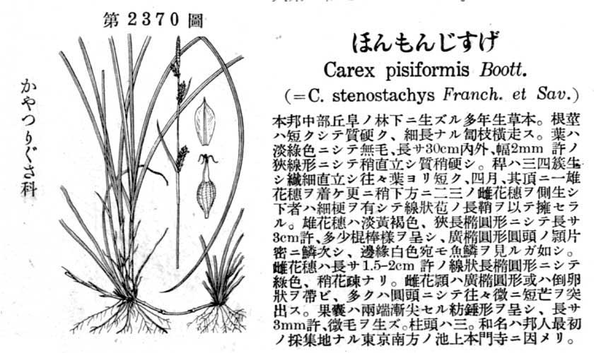 植物図鑑