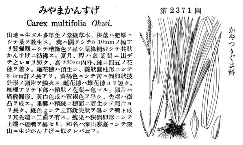 植物図鑑