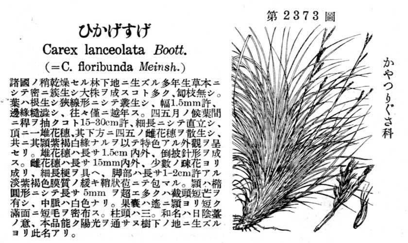 植物図鑑