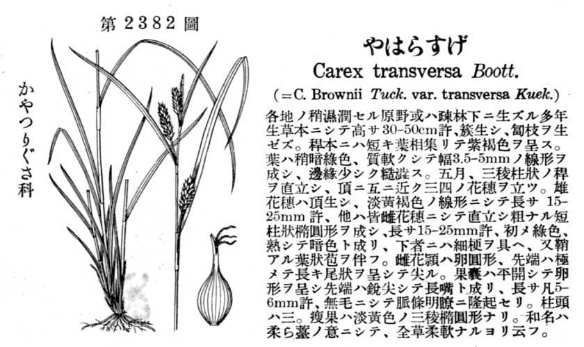 植物図鑑