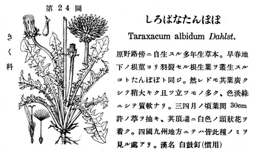 植物図鑑