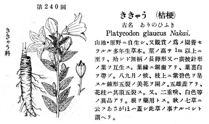 植物図鑑