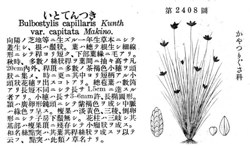 植物図鑑