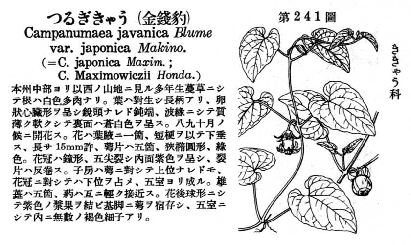植物図鑑