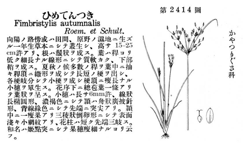 植物図鑑