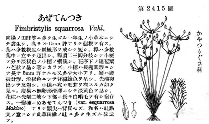 植物図鑑