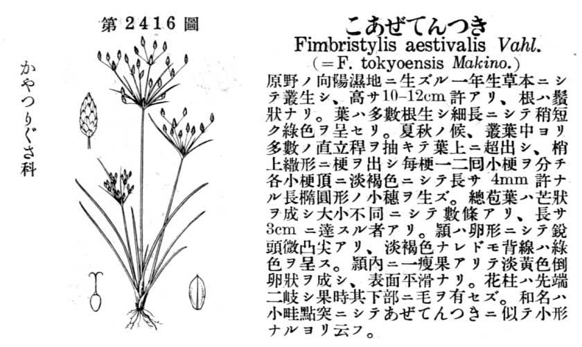 植物図鑑