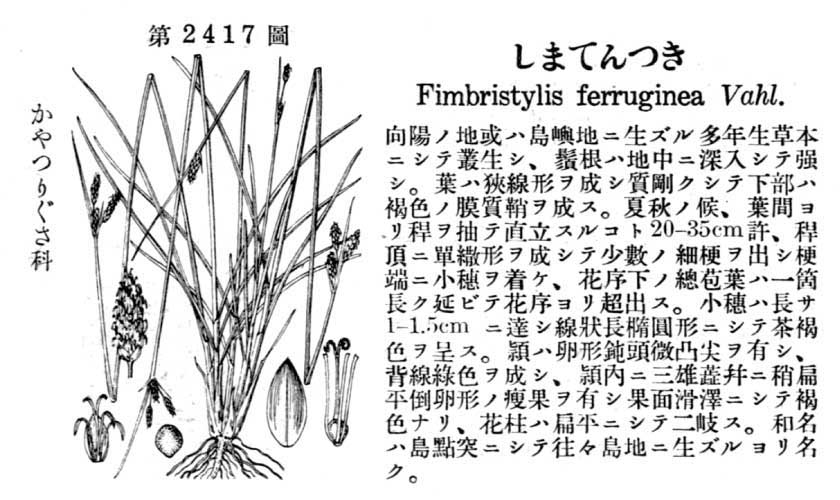 植物図鑑