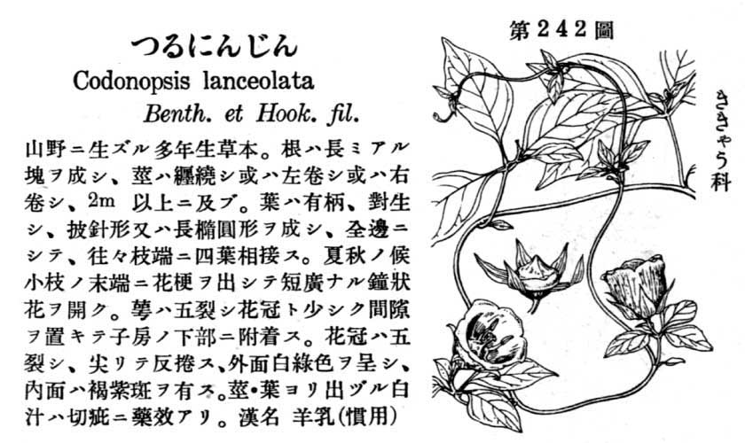 植物図鑑