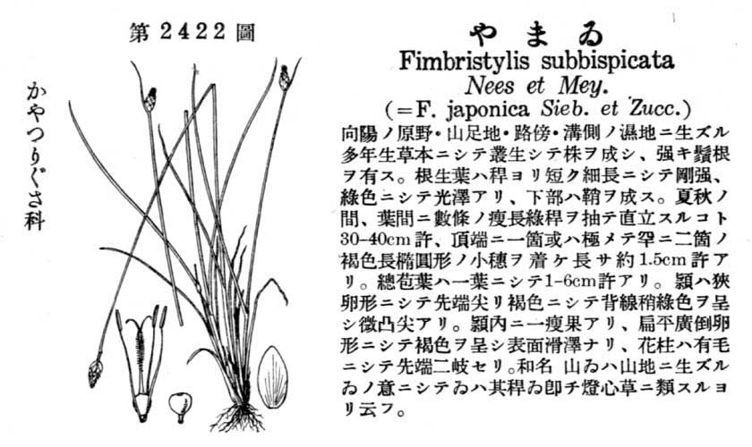 植物図鑑