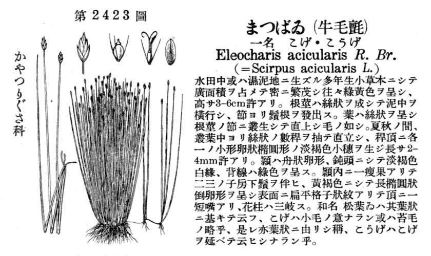 植物図鑑