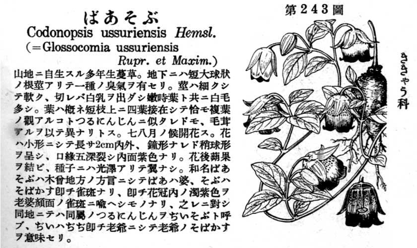 植物図鑑